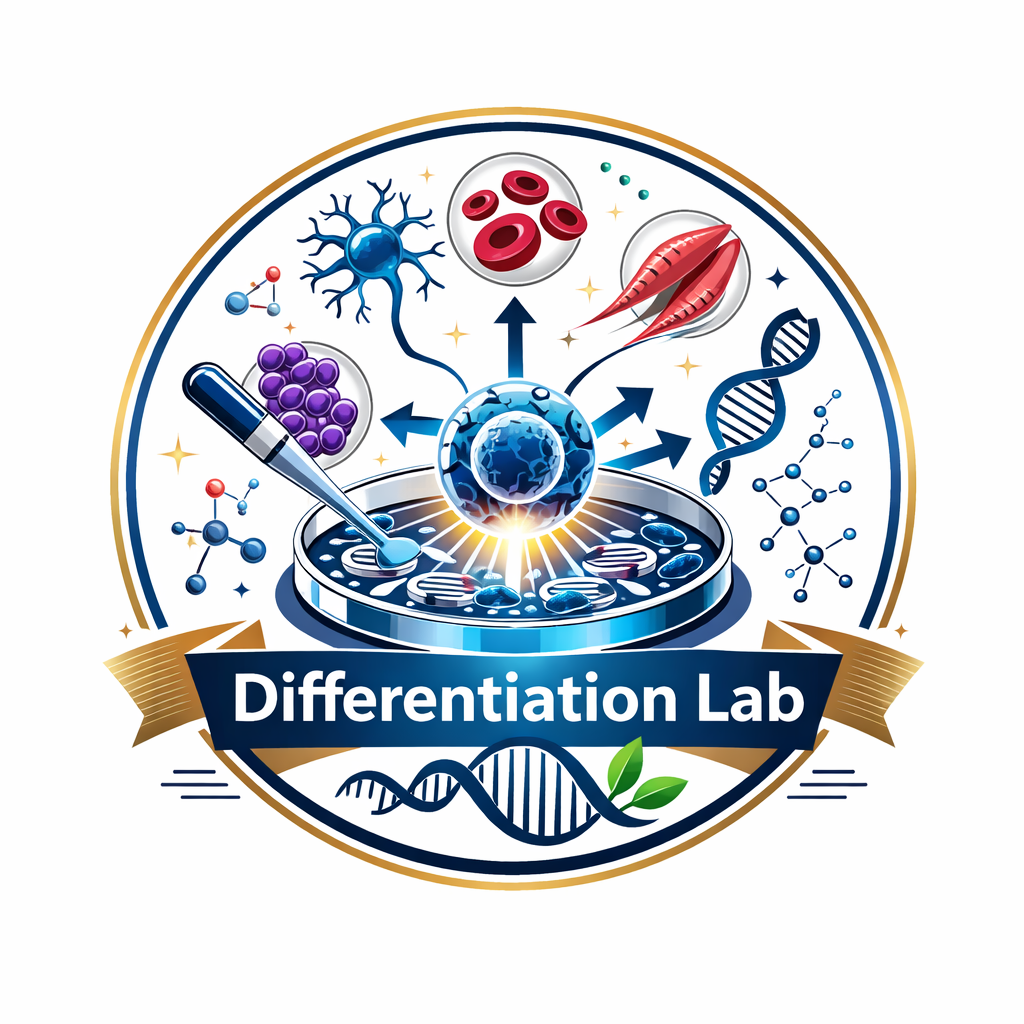 Differentiation Lab 1